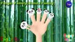 The Finger Family Song ( panda Family ) | Nursery Rhymes & Songs For Children by Sager Sons