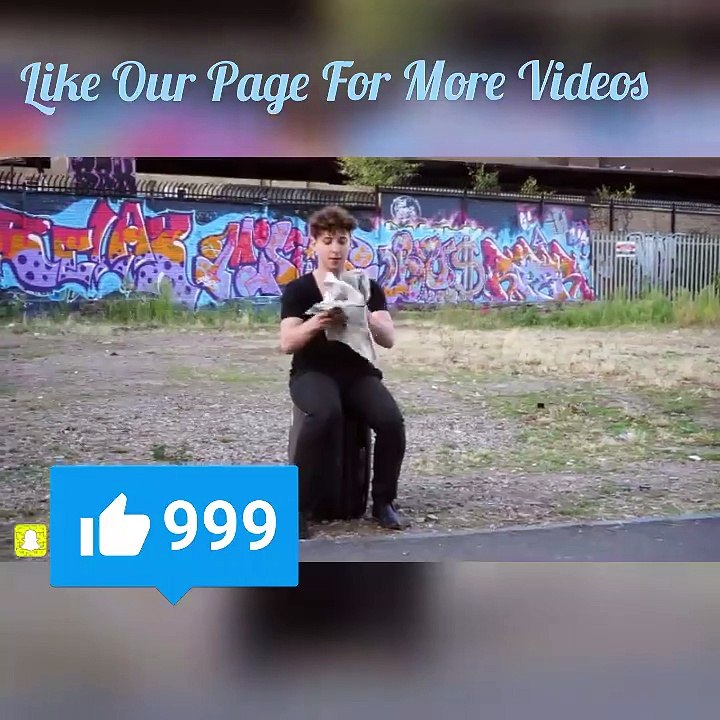 Funny Video Of This Year 2016