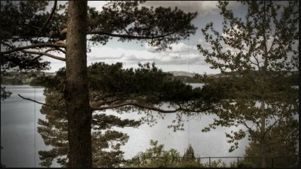 Splet narodnih pesama (41)