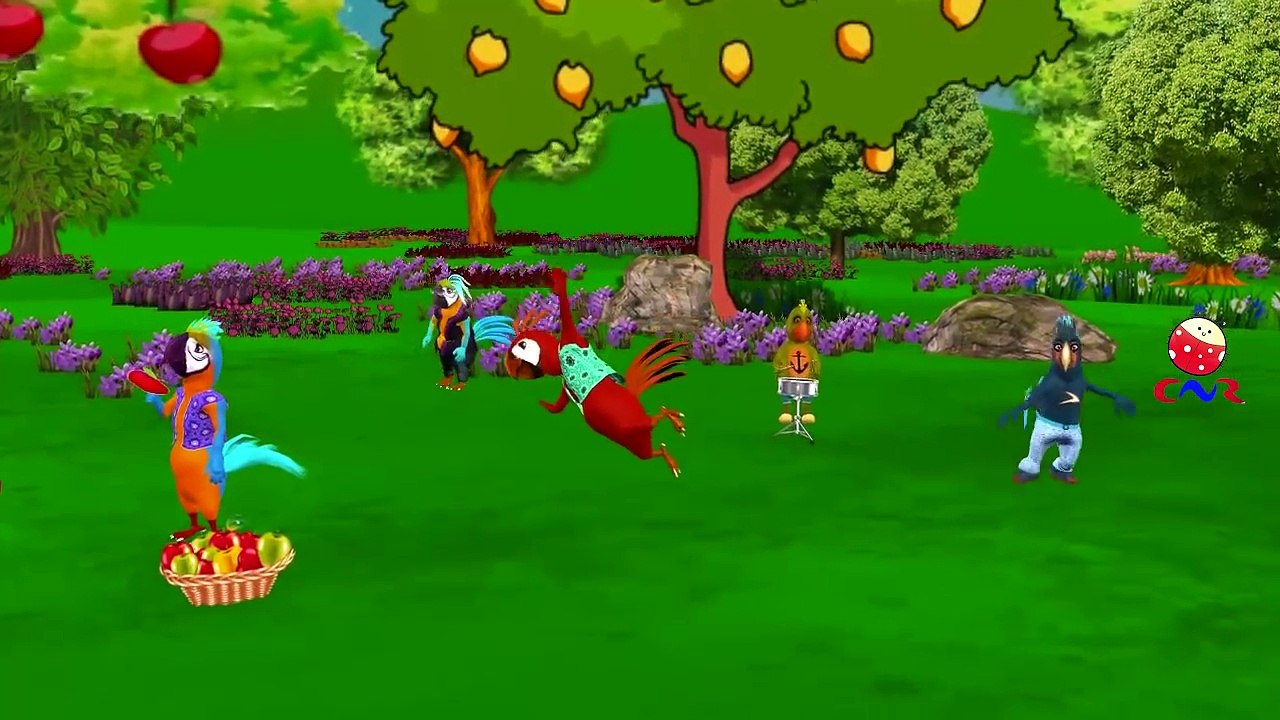 Finger Family Nursery Rhymes for Children Parrot Cartoons | Finger Family Children Nursery Rhymes