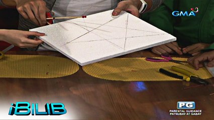 iBilib: DIY magic cutter