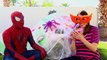 GIANT SURPRISE TOYS SPIDER WEB! Little Tikes Tunnel & Dome Climber ❤ Kids Surprise Eggs & Blind Bags