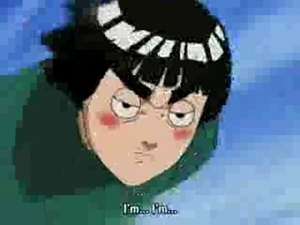 the drunken master