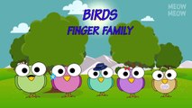 Birds Finger Family Nursery Rhymes | Cute Birds Finger Family Songs For Kids
