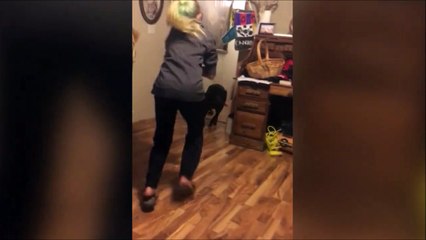 On ne peut pas voler le jouet préféré d'un chien... Impossible
