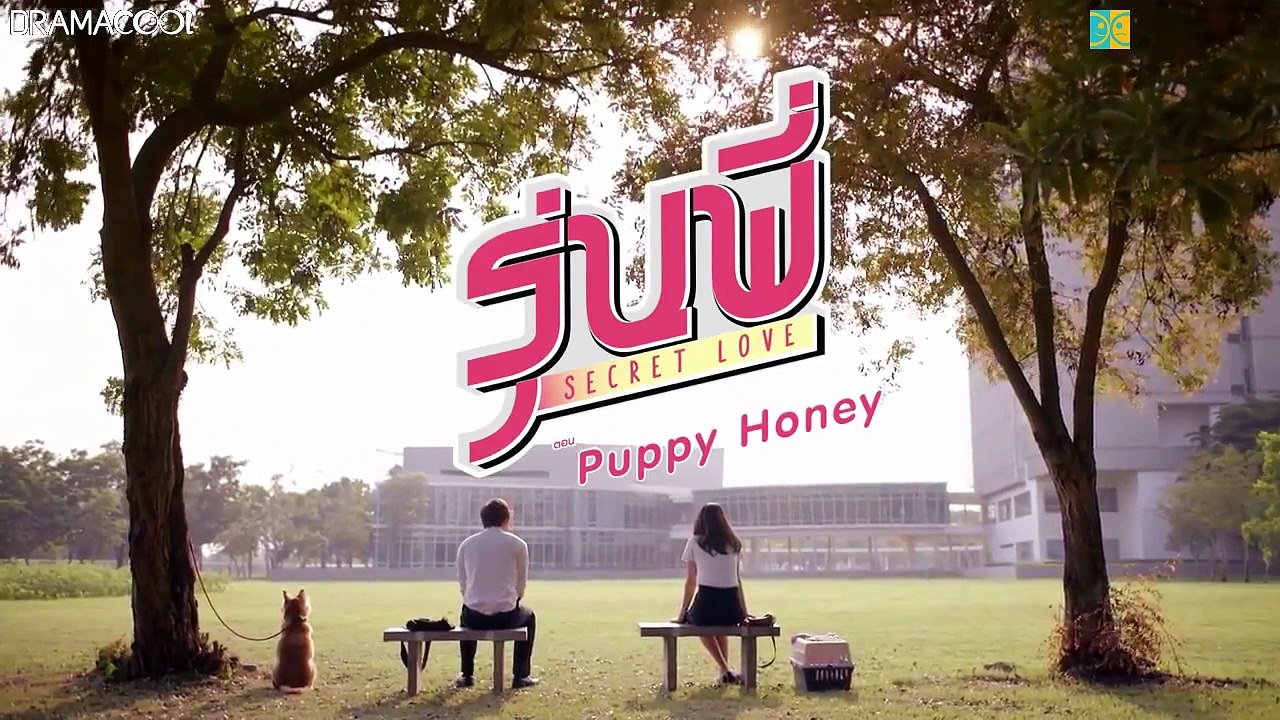 senior secret love puppy honey episode 3