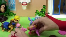 La Patrulla Canina y Peppa Pig juegan al baloncesto y George es atrapado en la canasta, ¡al rescate!