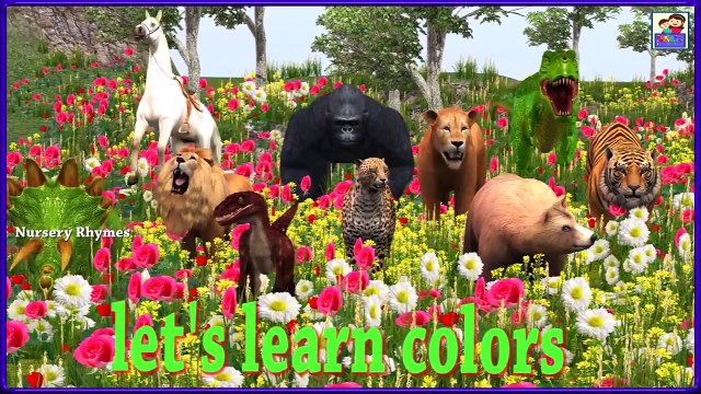 Colors Song || Learn Animals & colors With Wild Animals || By Nursery Rhymes || Kids 3D Rhymes