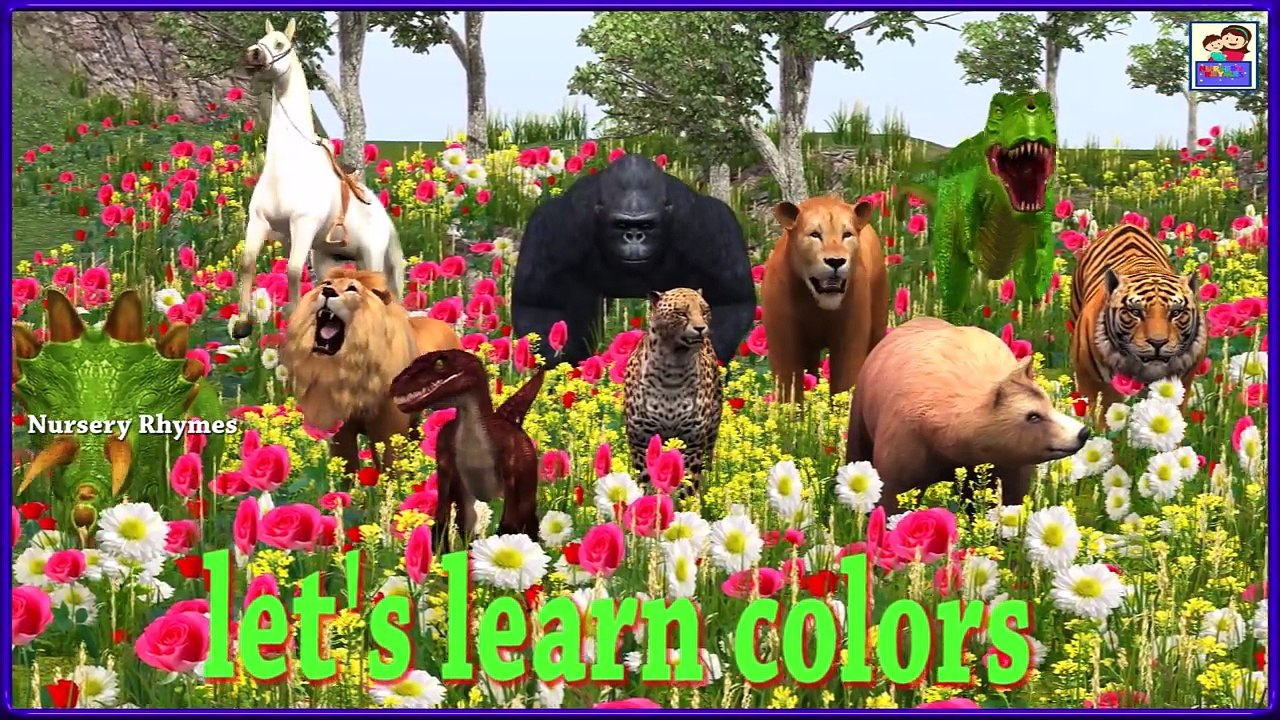 Colors Song || Learn Animals & colors With Wild Animals || By Nursery Rhymes || Kids 3D Rhymes