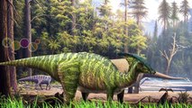 3D Dinosaur Herbivores Real Finger Family Nursery Rhymes By KidsW