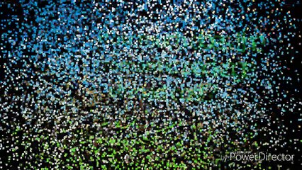 How much does the romantic package abroad cost?  (InnovativeHD)