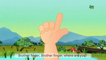 Gummy Bear Finger Family - Song - Daddy Finger - Nursery Rhymes & Songs For Children -artnutzz TV