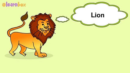 Learn Wild Animal Names! learning zoo animal video for Childrens