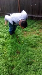 Training clapping push ups 17