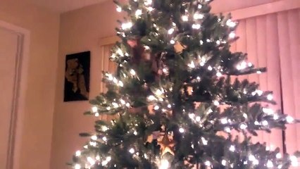 gatti a alberi di natale