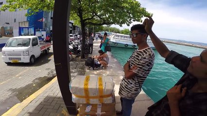 Миссия на Китовых акул