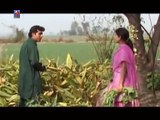 Jatt Di Panah - Punjabi Action Movies - Full Movie - LATEST PUNJABI MOVIES 2016 - Fresher Records