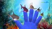 Shark Cartoon Finger Family Twinkle Twinkle Little Star | Johny Johny Yes Papa Nursery Rhymes