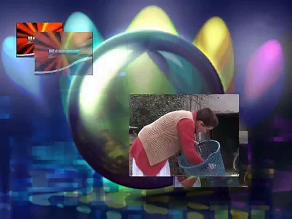 A e ki a se ki-Humor Leci 2011