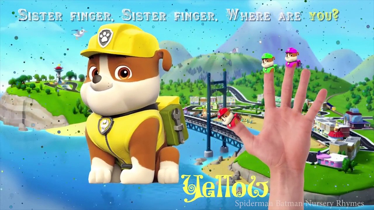 Rubble from Paw Patrol Finger Family Nursery Rhymes Song - Learning Colors for Kids with Paw Patrol