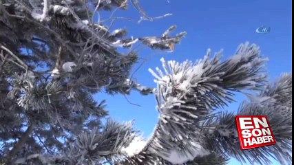 Kars'ta termometreler eksi 30'u gördü | En Son Haber