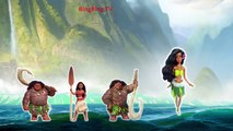 Moana 2016 Finger Family | BingBing TV - Nursery Rhymes For Children