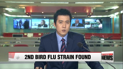 Korea confirms second strain of bird flu at poultry farm