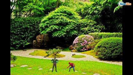 Frozen Elsa becomes Spiderman! w/ Hulk Pink Spidergirl vs Joker Superheroes in Real Life. Ep. 148