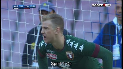 Dries Mertens Goal HD - Napoli 2-0 Torino 18.12.2016