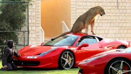 10 Choses Étonnantes Typiques de Dubaï