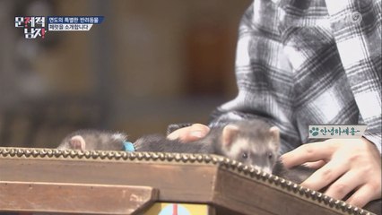 면도의 반려동물 ′패럿′ 등장에 스튜디오 초토화♡