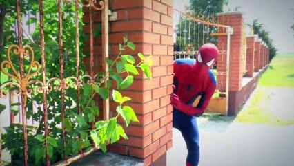 Frozen Elsa vs Spiderman! w/ Joker & Jasmine, Hulk, Tangled Superhero Movie