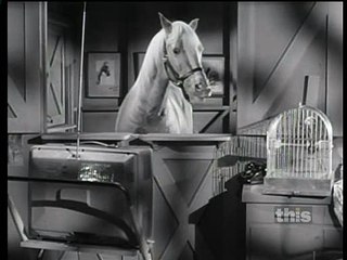 Mister Ed S06 142 Cherokee Ed