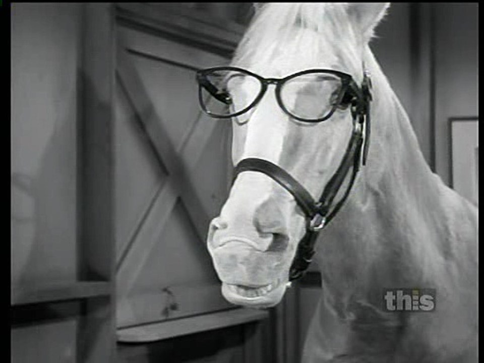 Mister Ed S06 143 Ed Goes To College [Final Episode] video Dailymotion