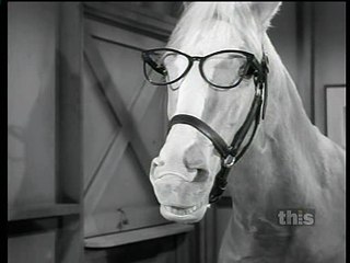 Mister Ed S06 143 Ed Goes To College [Final Episode]