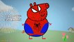 Peppa Pig Spiderman Colors Superheroes - Homem Aranha En español Latino Hombre El Araña HD