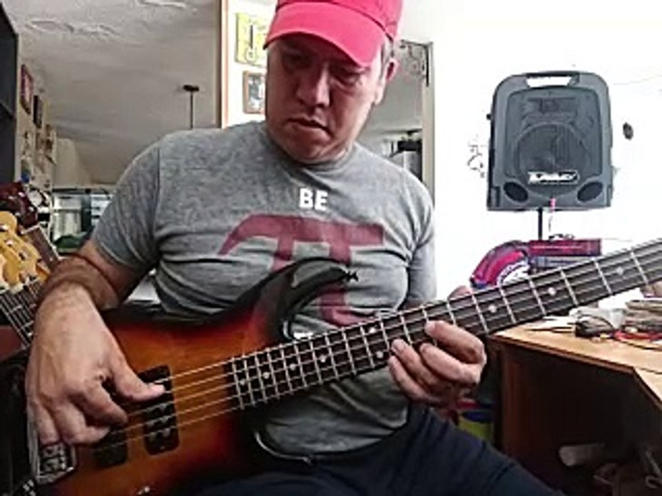 Muse - Plug in baby - Bass Cover