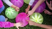 Five Giant Color Balloon Collection - Learn Colors Outside Wet Balloons - Finger Nursery for Babies