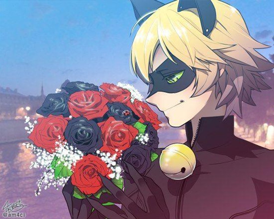 transformation Chat Noir +Cataclysme