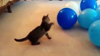 most viral Whatsapp Funny Videos 2017- Best Funny viral Videos - Try Not To Laugh