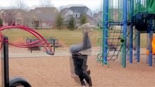New funy video awosome funny funny video 2017