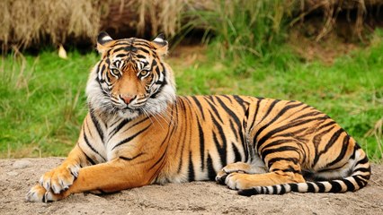 Must Watch Sunni Vs Salafi Debate It's Amazing