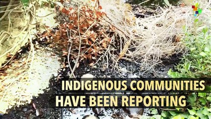 The Pipeline Leak Devastating the Peruvian Amazon