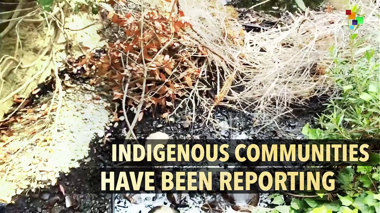 The Pipeline Leak Devastating the Peruvian Amazon