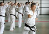 Shihan Seiji Kanamura Kyokushin Karate