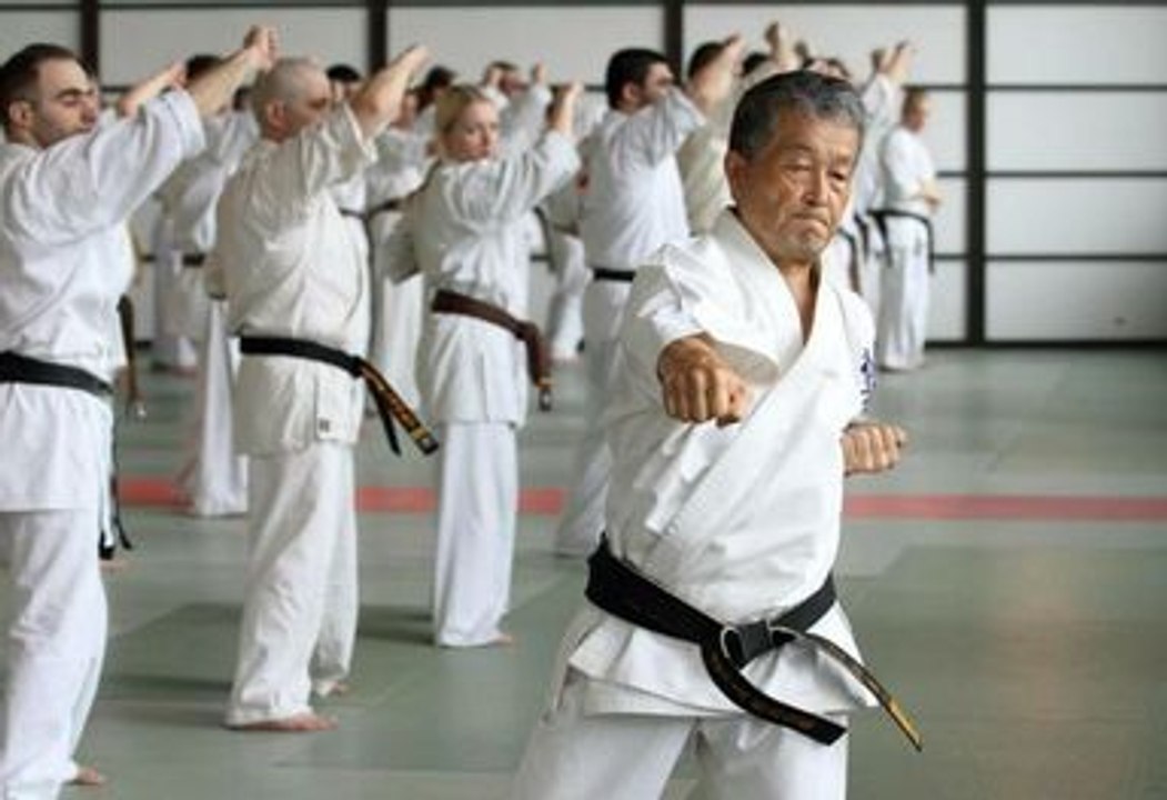 Shihan Seiji Kanamura Kyokushin Karate