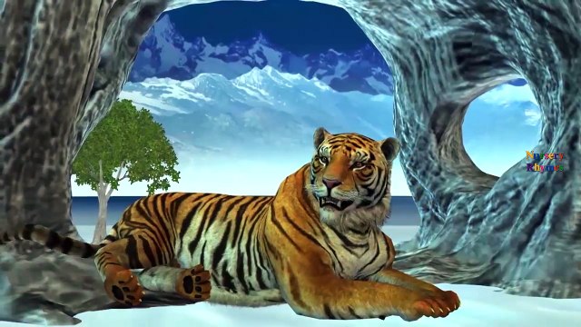 Animals Cartoons Finger Family Children Nursery Rhymes | Animals Finger Family Rhymes for Children