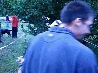 free Dj toy  st romain  mur  15 kilo mur kristioun aout 07