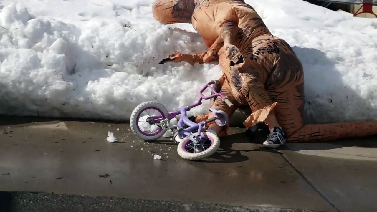 1 journée de la vie d'un T-Rex.. pas facile facile lol