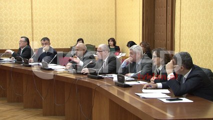 PS-LSI arrijnë konsensusin për akcizën e gazit